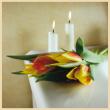 Funeral Directors in Glasgow
